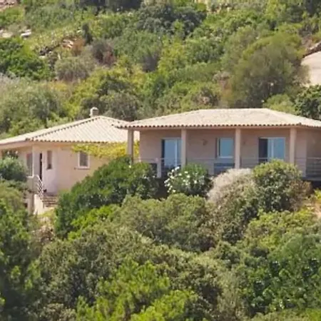 Maison 6 Pers Vue Sur Palombaggia